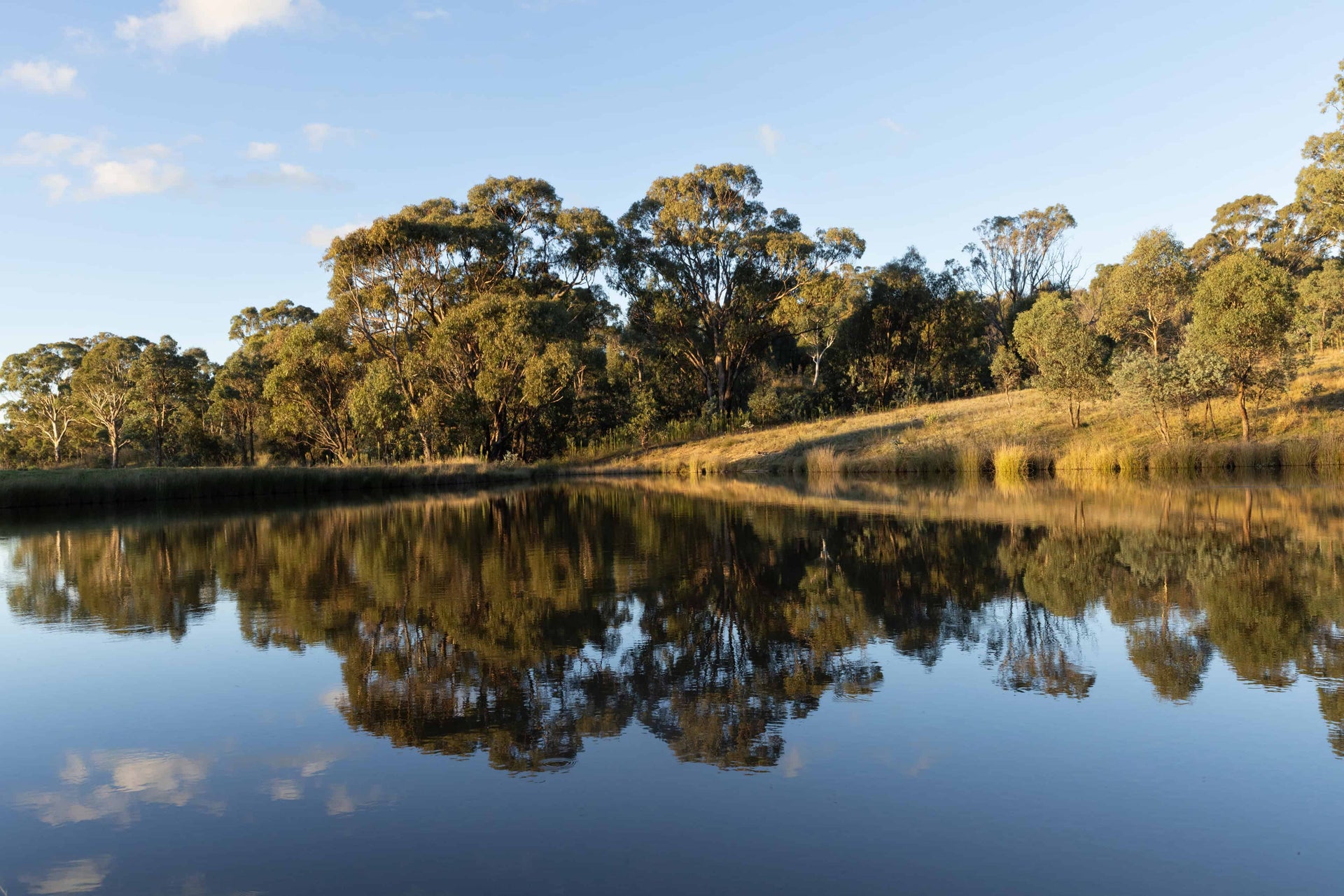Retreats: 7-Day Retreats