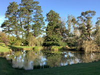 Weekend Meditation Retreat: Finding More Freedom — weekend Retreat (12-14 Mar 2027) Bowral