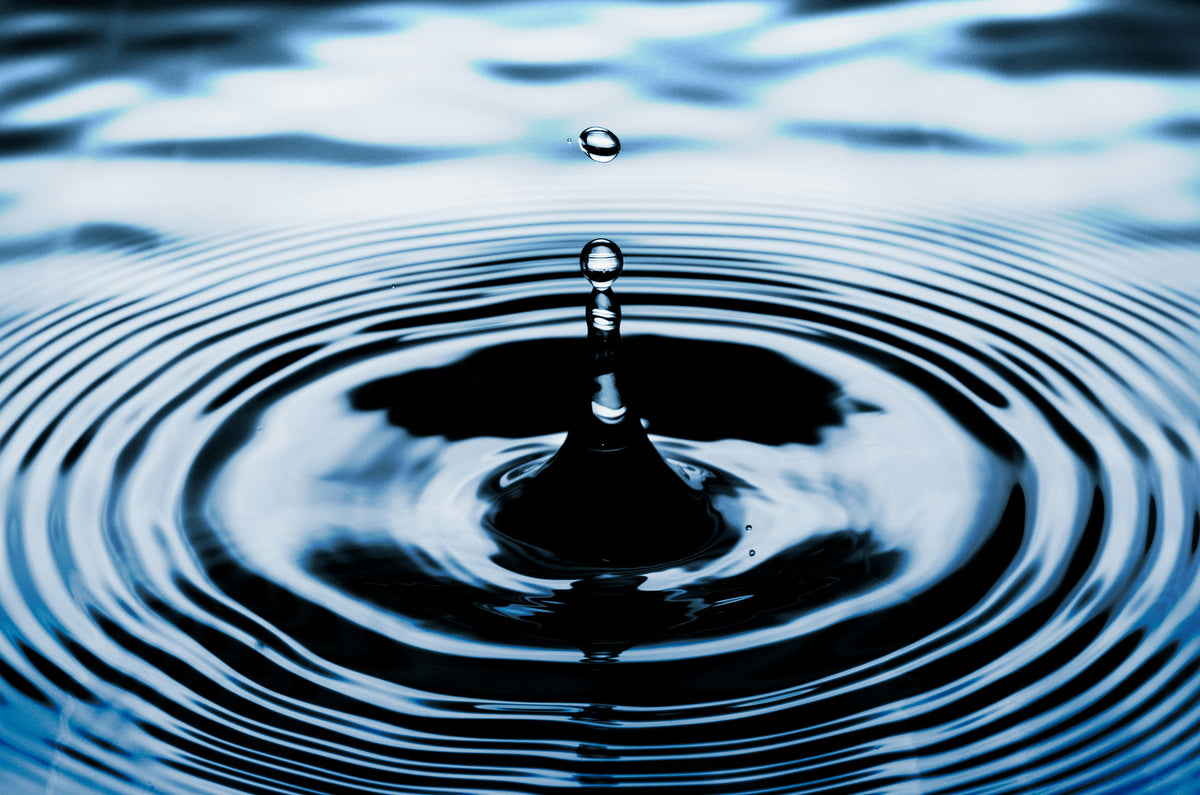 Mindful Self-Compassion with Dr Adele Stewart (13 Feb -10 Apr 2027) Wollongong