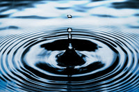 Mindful Self-Compassion with Dr Adele Stewart (13 Feb -10 Apr 2027) Wollongong